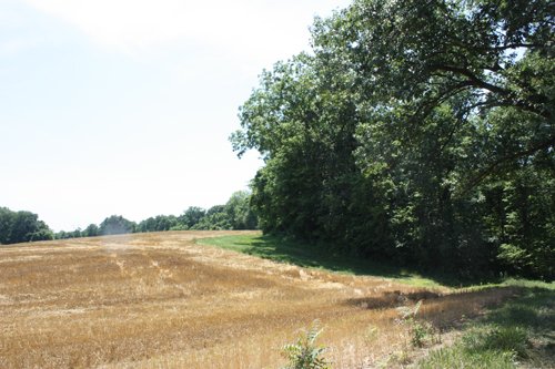 Property photo 5 - AUCTION POSTPONED